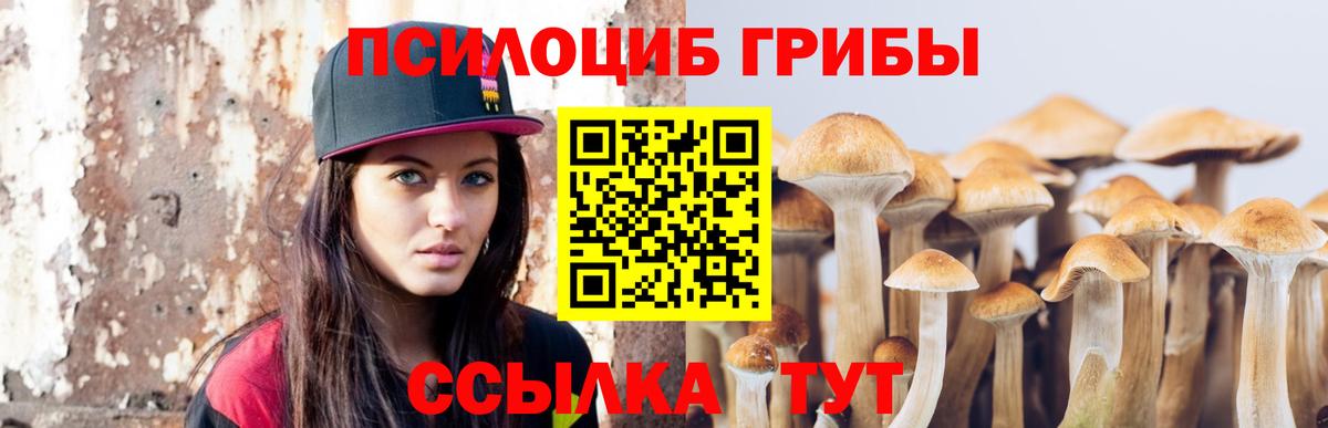 Моздок  Галлюциногенные грибы MAGIC MUSHROOMS  купить наркотик  Вход с VPN 